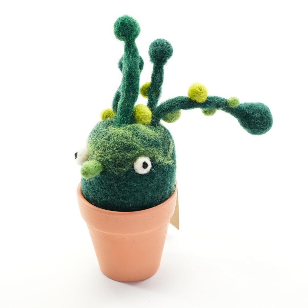 Bean Bean Woolbuddy