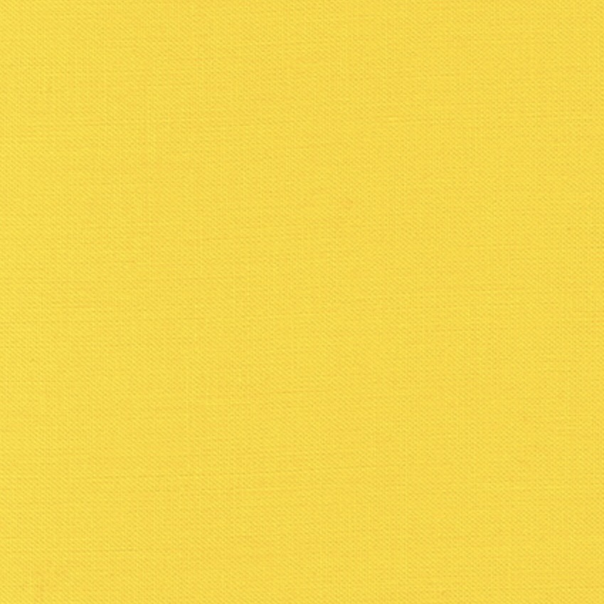 Kona Cotton by the 1/4 Yard - Citrus