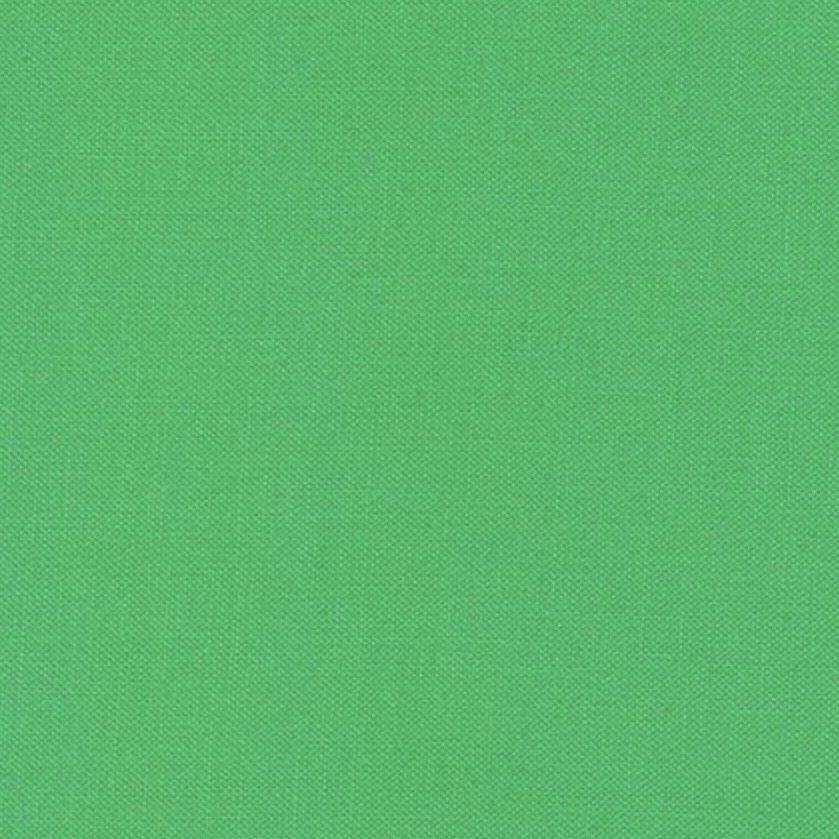 Kona Cotton by the 1/4 Yard - Fern