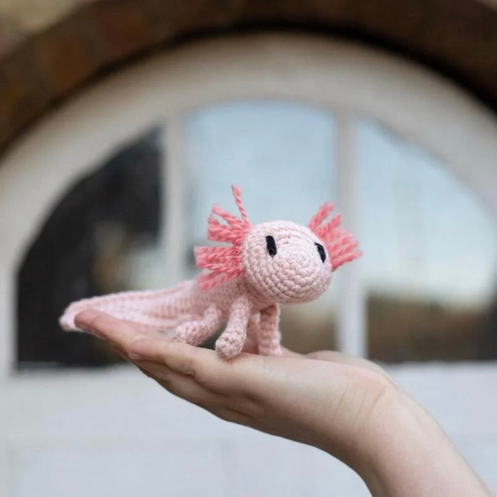 Mini Danielle the Axolotl Crochet Kit