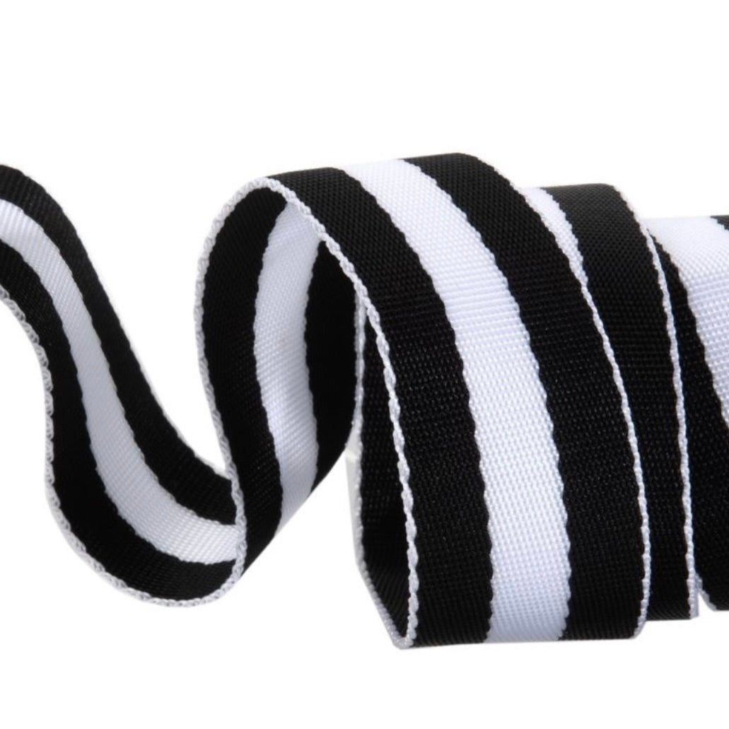Tula Pink Webbing 1.5 in - Black & White