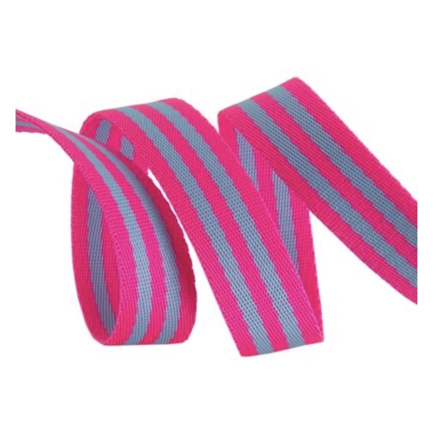 Tula Pink Webbing 1 in - Aqua & Hot Pink