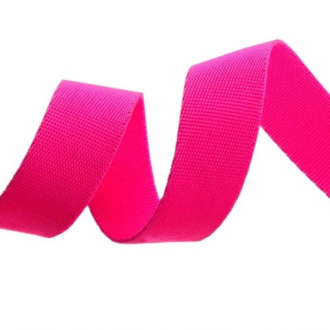 Tula Pink Webbing 1 in - Cosmic/Pink