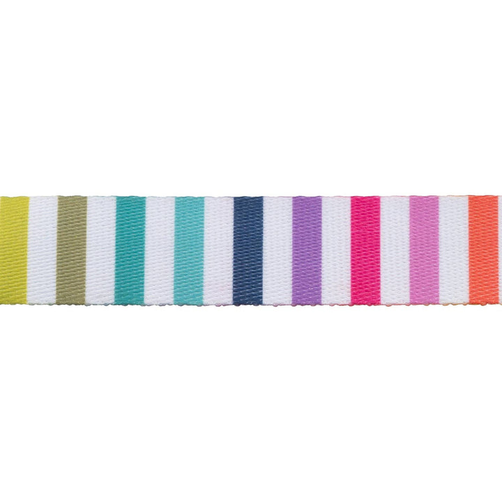 Tula Pink Disco Stripe  - 5/8" Wide