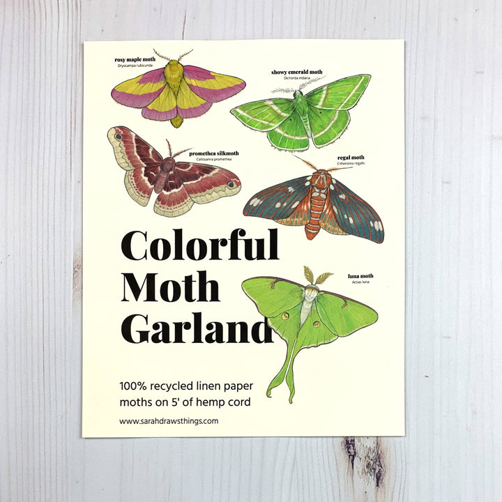 Colorful Moth Illustrated Garland