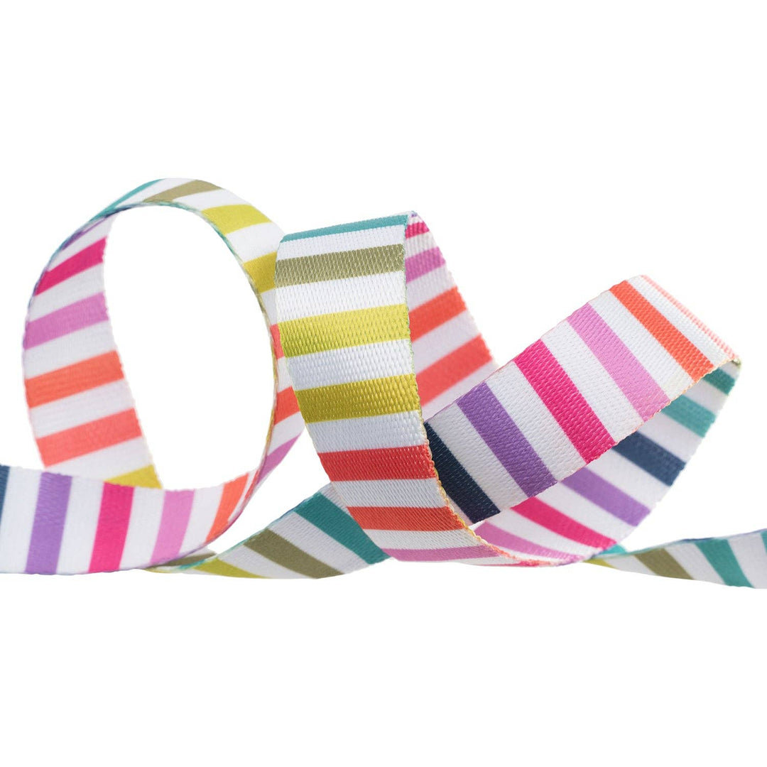 Tula Pink Disco Stripe  - 5/8" Wide