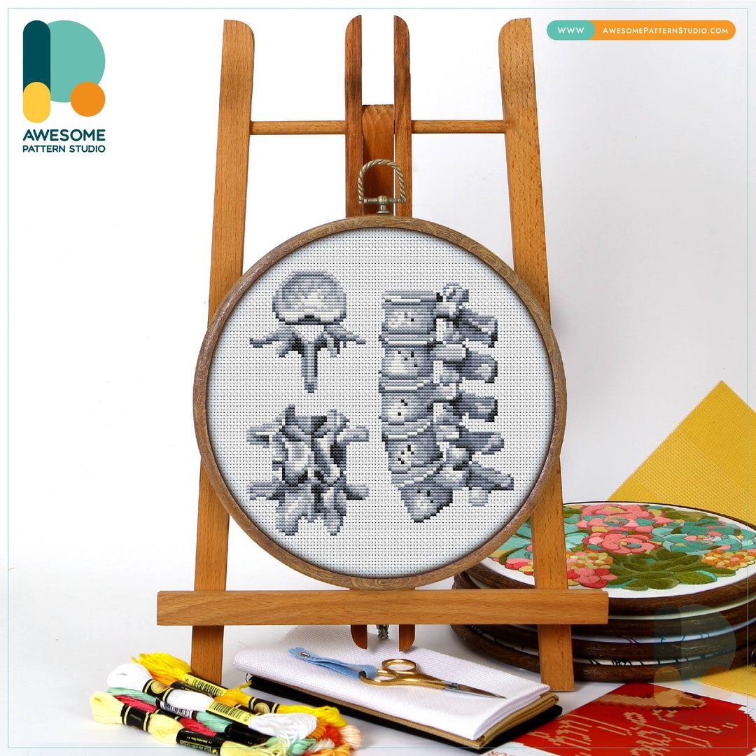 CS2080 Lumbar Vertebrae The Human, Counted Cross Stitch Kit