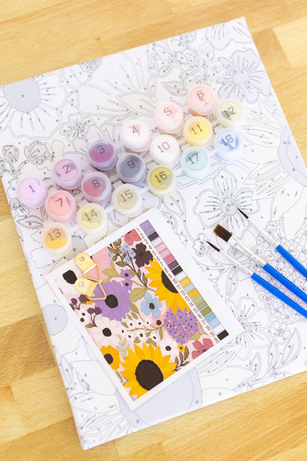 Rainbow Garden Paint By Number Kit