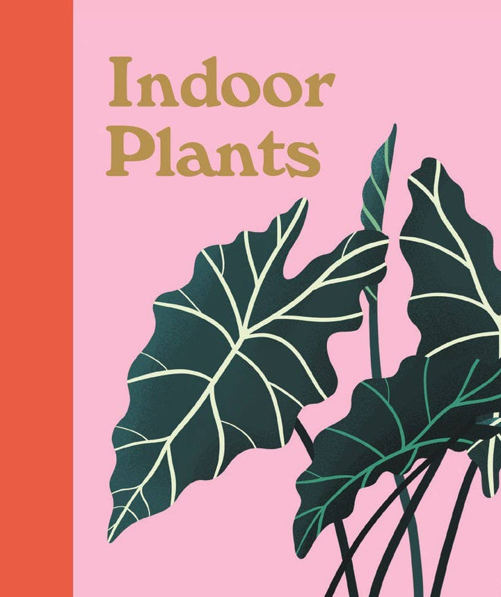 Plant Lover&