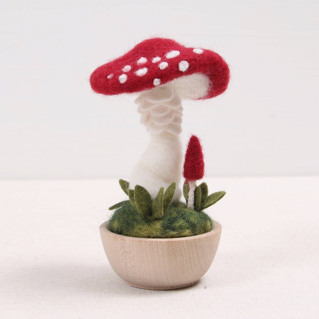 Crimson Toadstool Needle Felting Kit