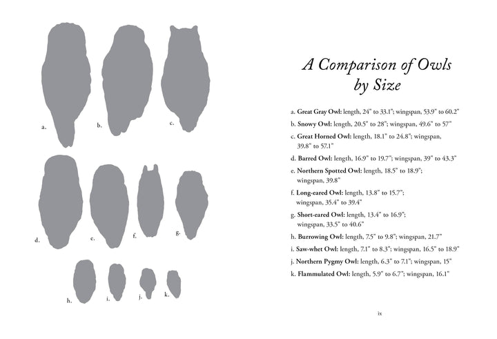 The Hidden Lives of Owls: Nature&