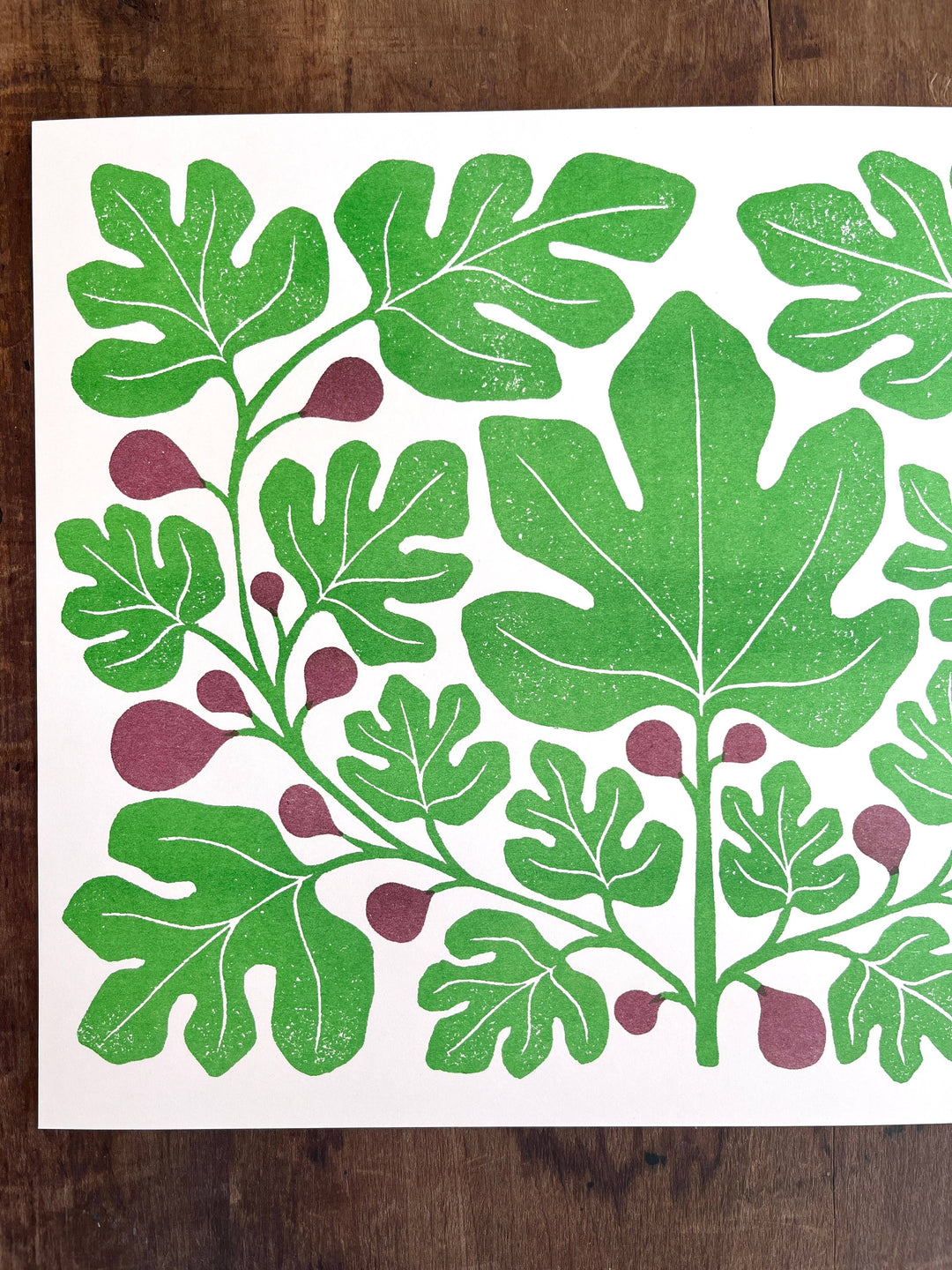 Garden Series: Fig Risograph Print