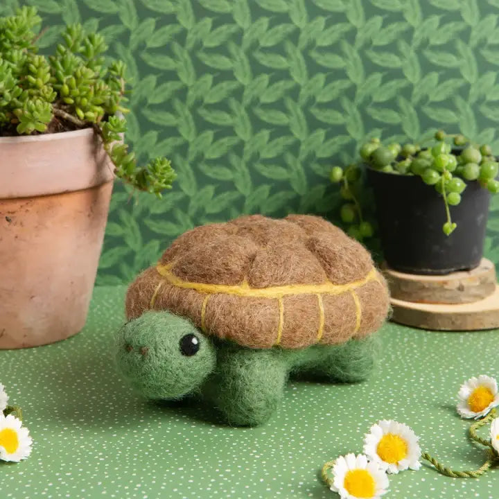 Tortoise Needle Felting Kit