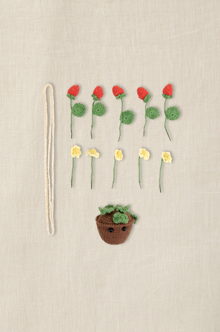 NEW DMC Summer Strawberries Amigurumi Kit