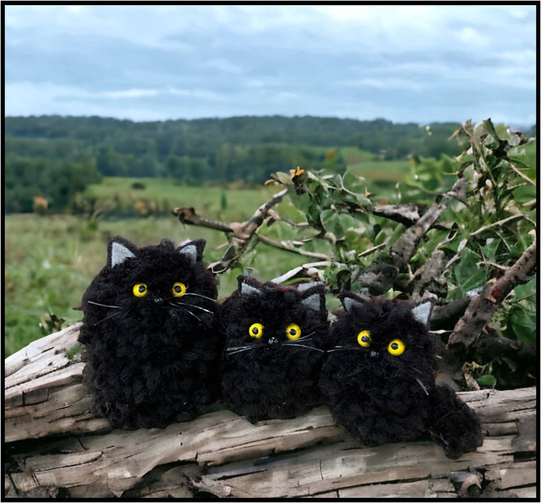 Black Cat Pom Pom Kit