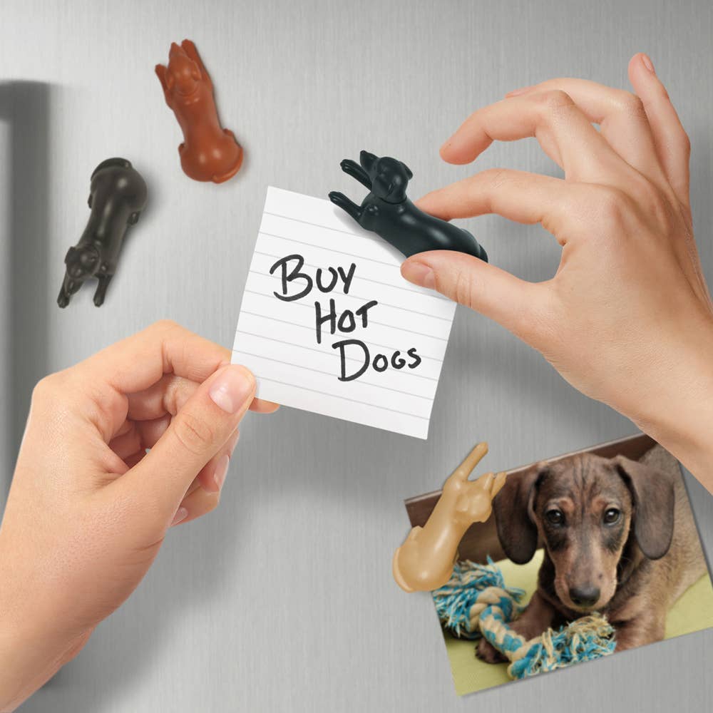Magnetipups - Dog Fridge Magnets - Set of 4