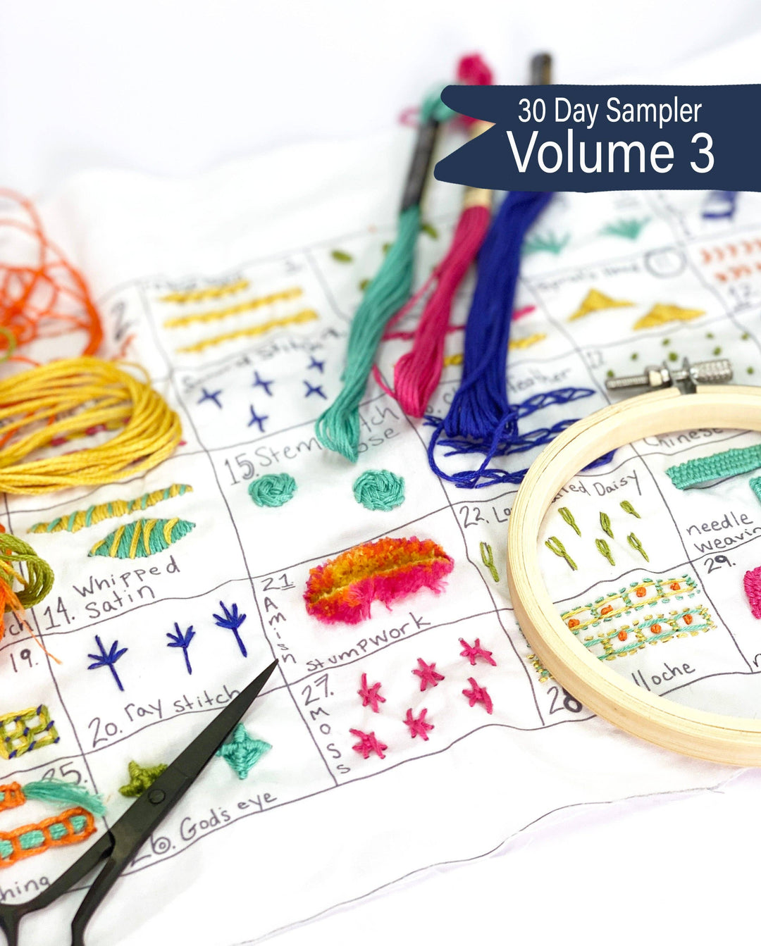 30 Day Sampler Embroidery Kit with Videos - Volume 3