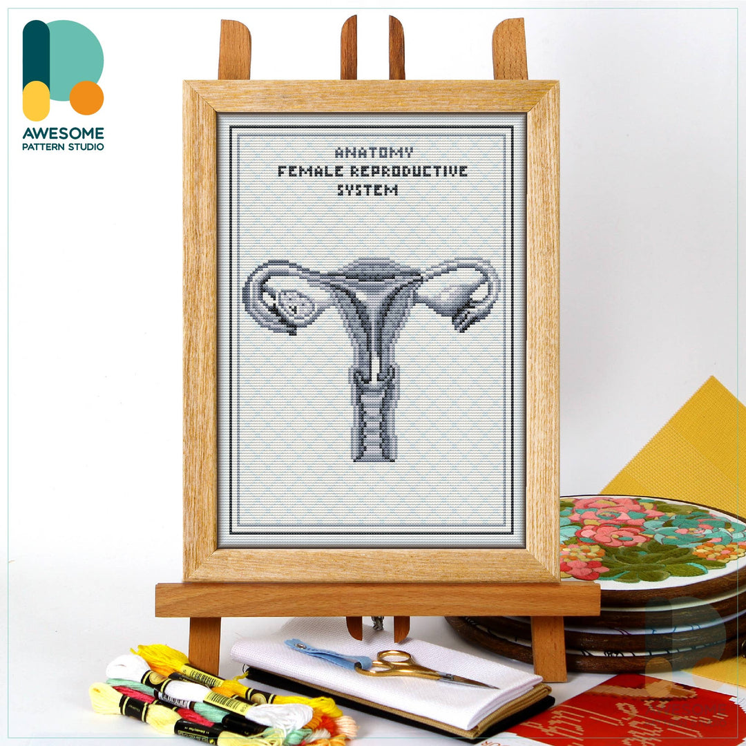 CS2071-2 Female Reproductive, Counted Cross Stitch Kit