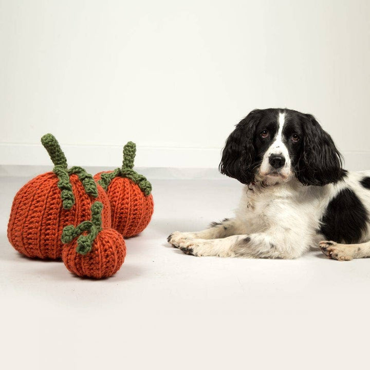 Pumpkin Trio Crochet Kit