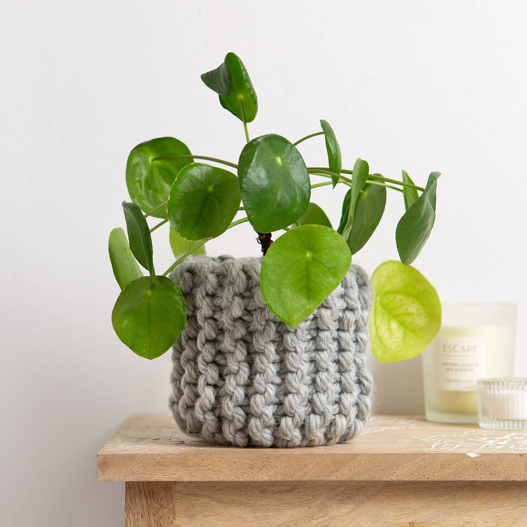 Mini Basket Beginner Knitting Kit