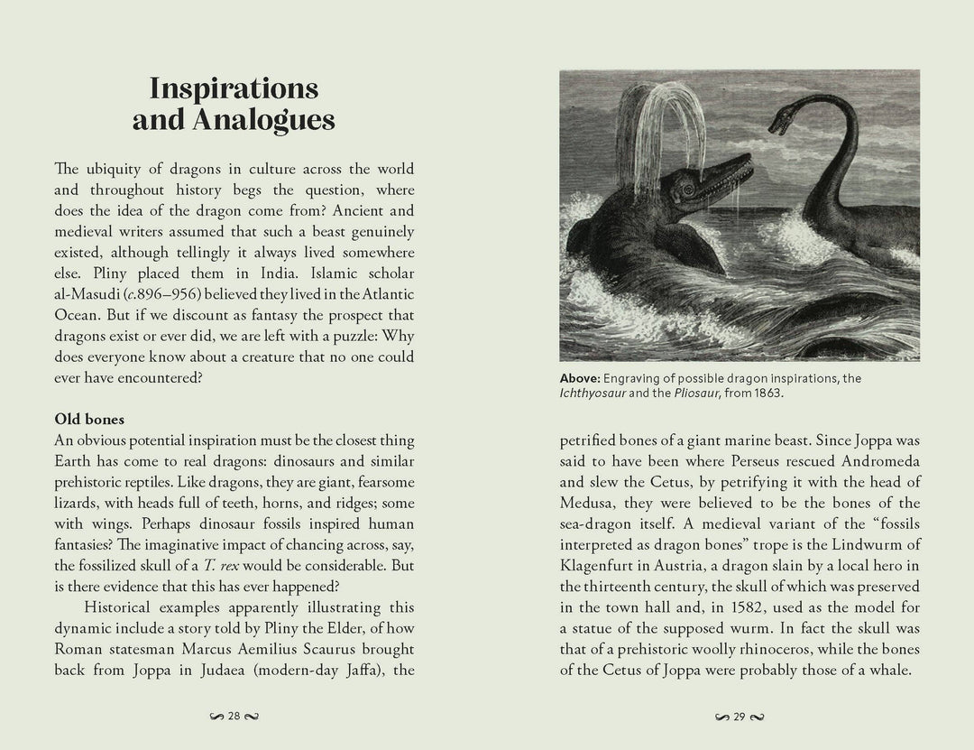 Pocket Book of Dragons