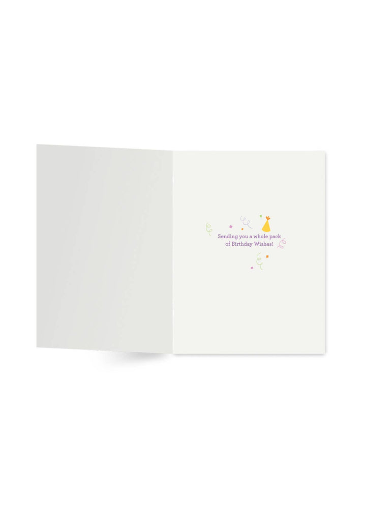 Birthday Pack Greeting Card