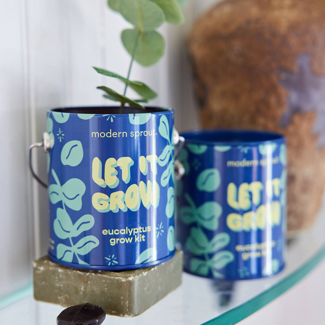 Holiday Complimentary Colors Grow Kits