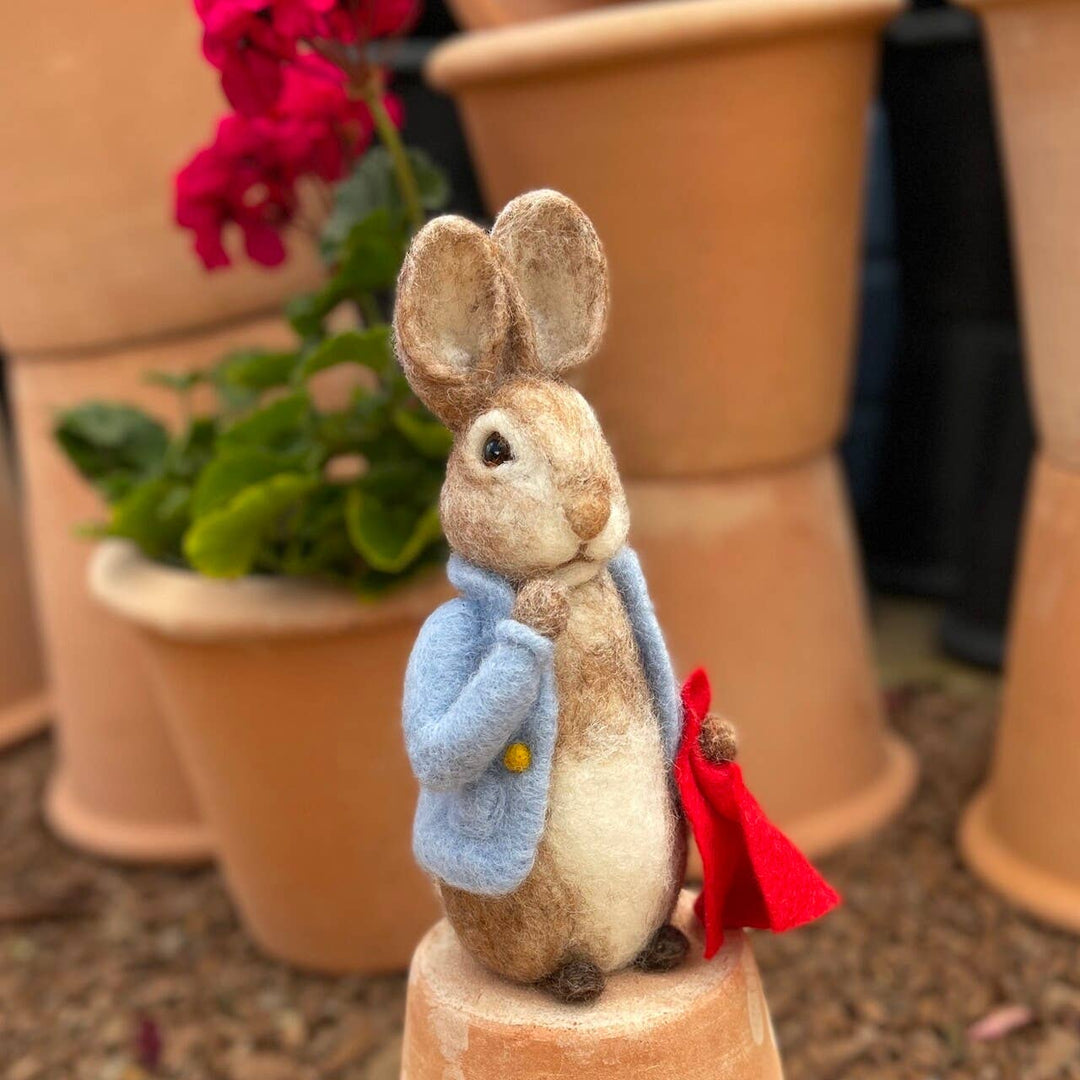 Beatrix Potter - Peter Rabbit