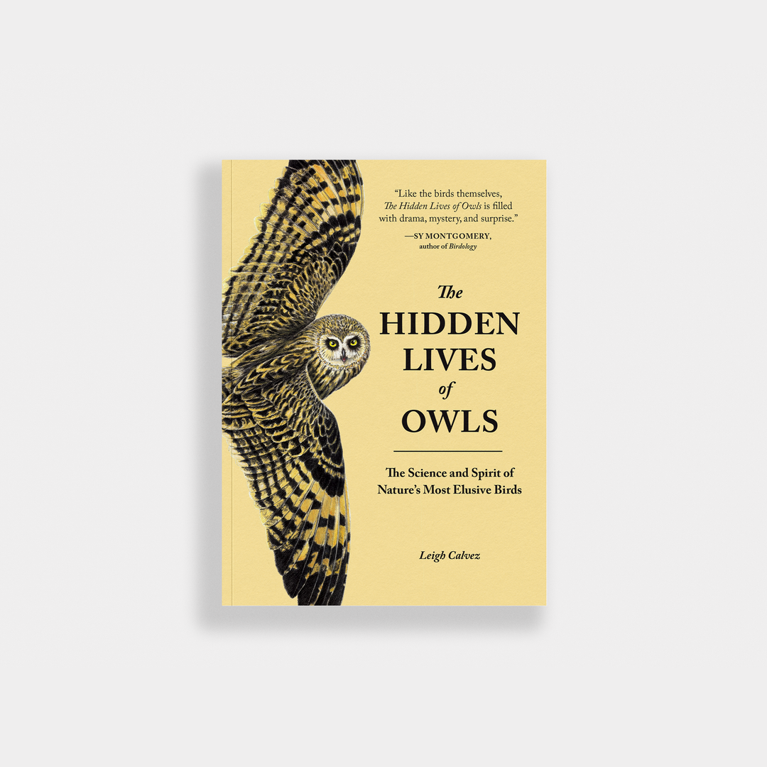The Hidden Lives of Owls: Nature&