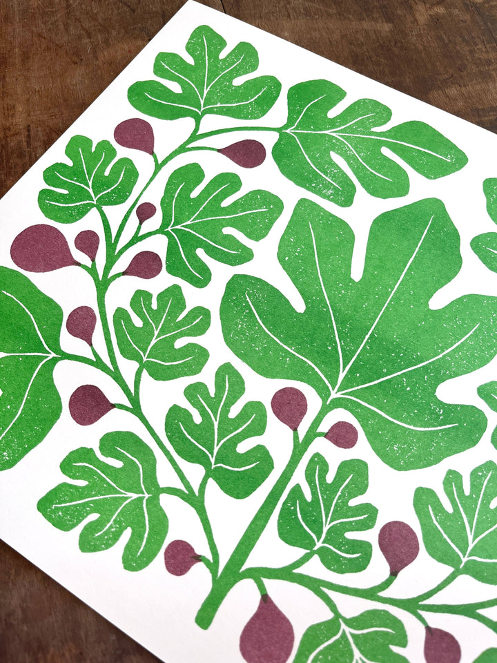 Garden Series: Fig Risograph Print