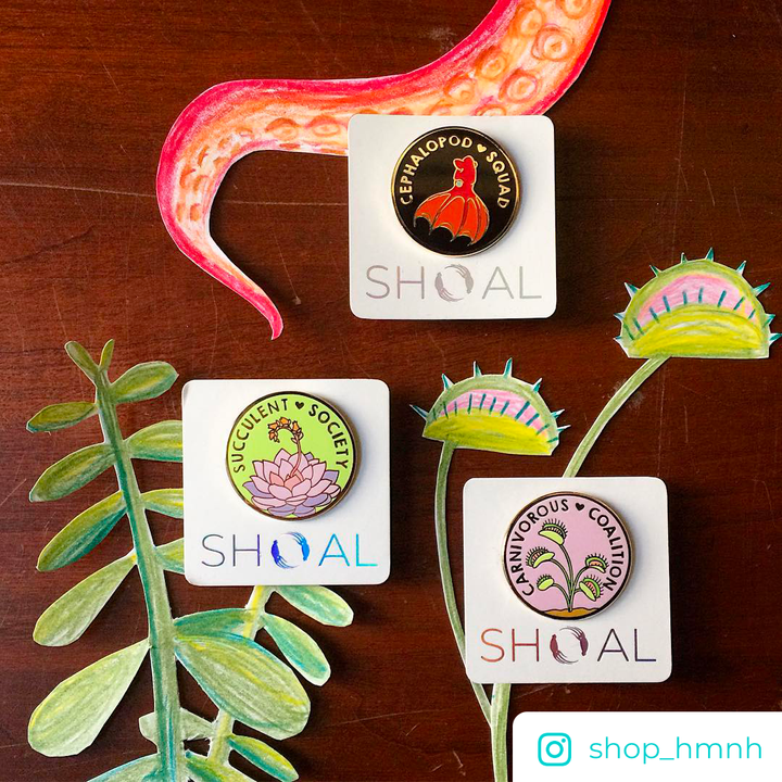 Cephalopod Squad Pin