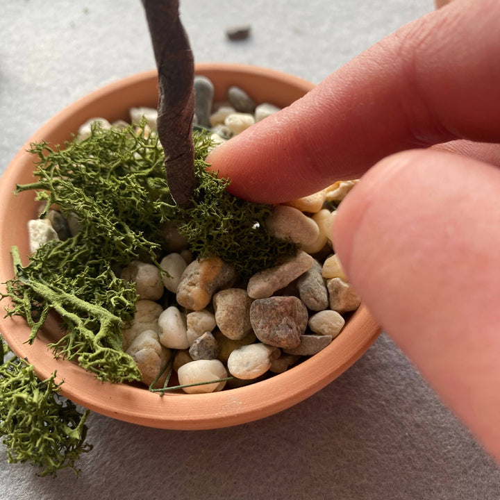 Autumn Bonsai Tree Beading Kit