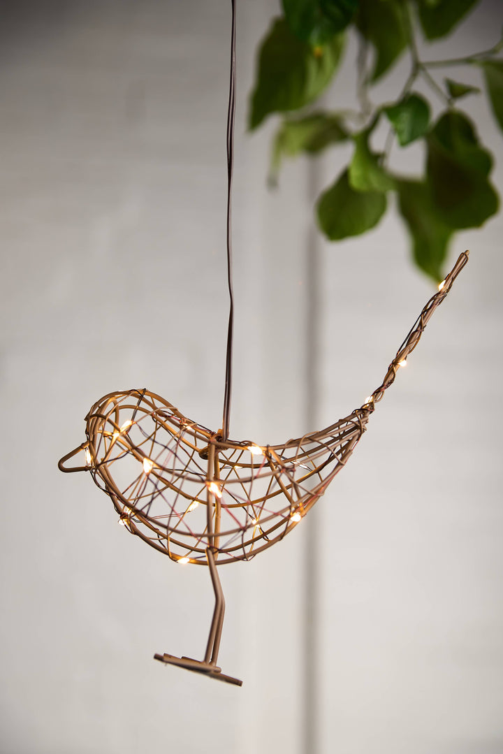 Hanging Robin