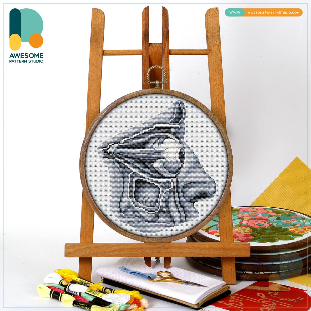 CS2061 Eye The Human Anatomy, Counted Cross Stitch Kit