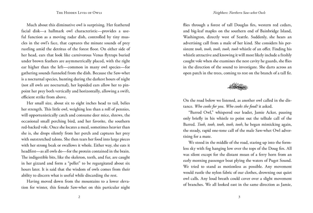 The Hidden Lives of Owls: Nature&