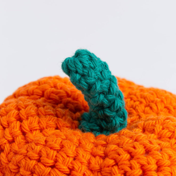 My Pocket Pumpkin Easy Crochet Kit