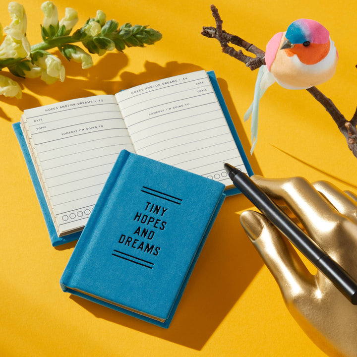Tiny Hopes And Dreams Tiny Diary