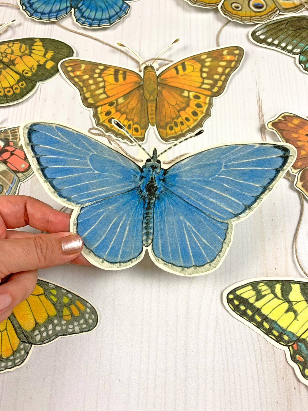 Eastern U.S. Native Butterfly Illustrated Garland