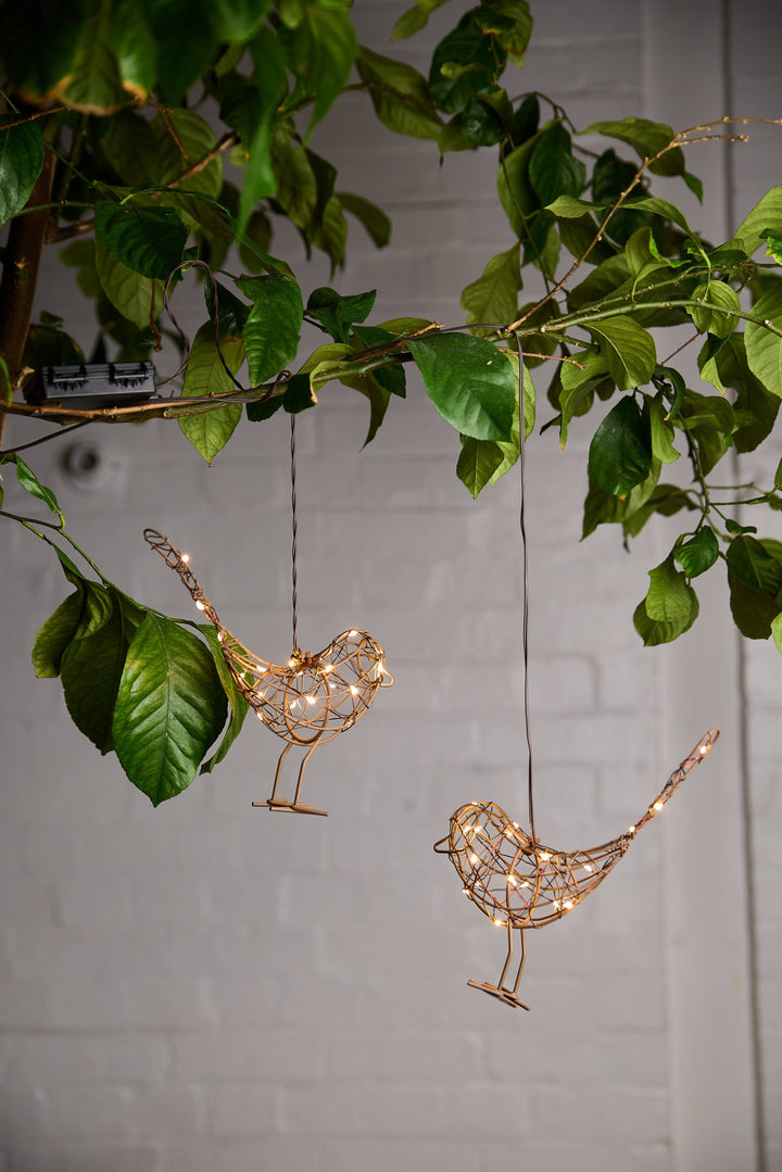 Hanging Robin