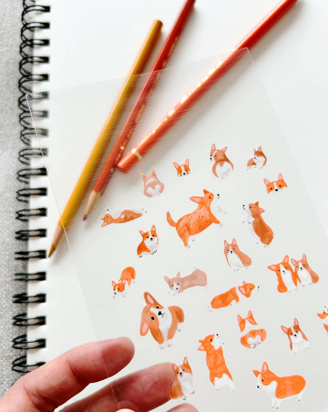 Corgis Sticker Sketches