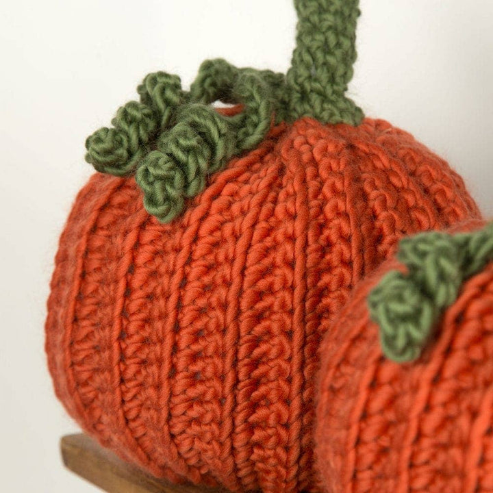 Pumpkin Trio Crochet Kit