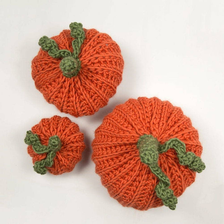 Pumpkin Trio Crochet Kit