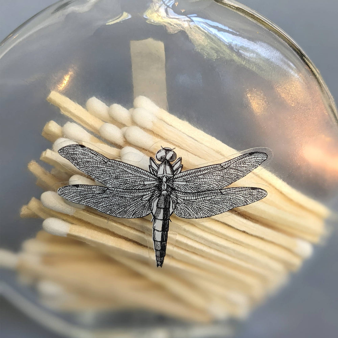 Matches In Black And White Dragonfly Jar