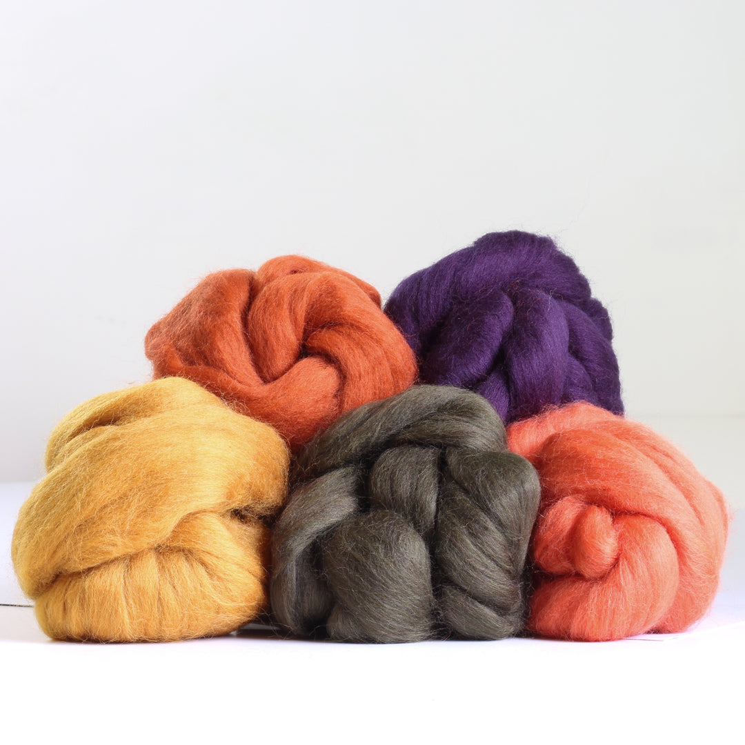 Autumn Bundle Wool Roving