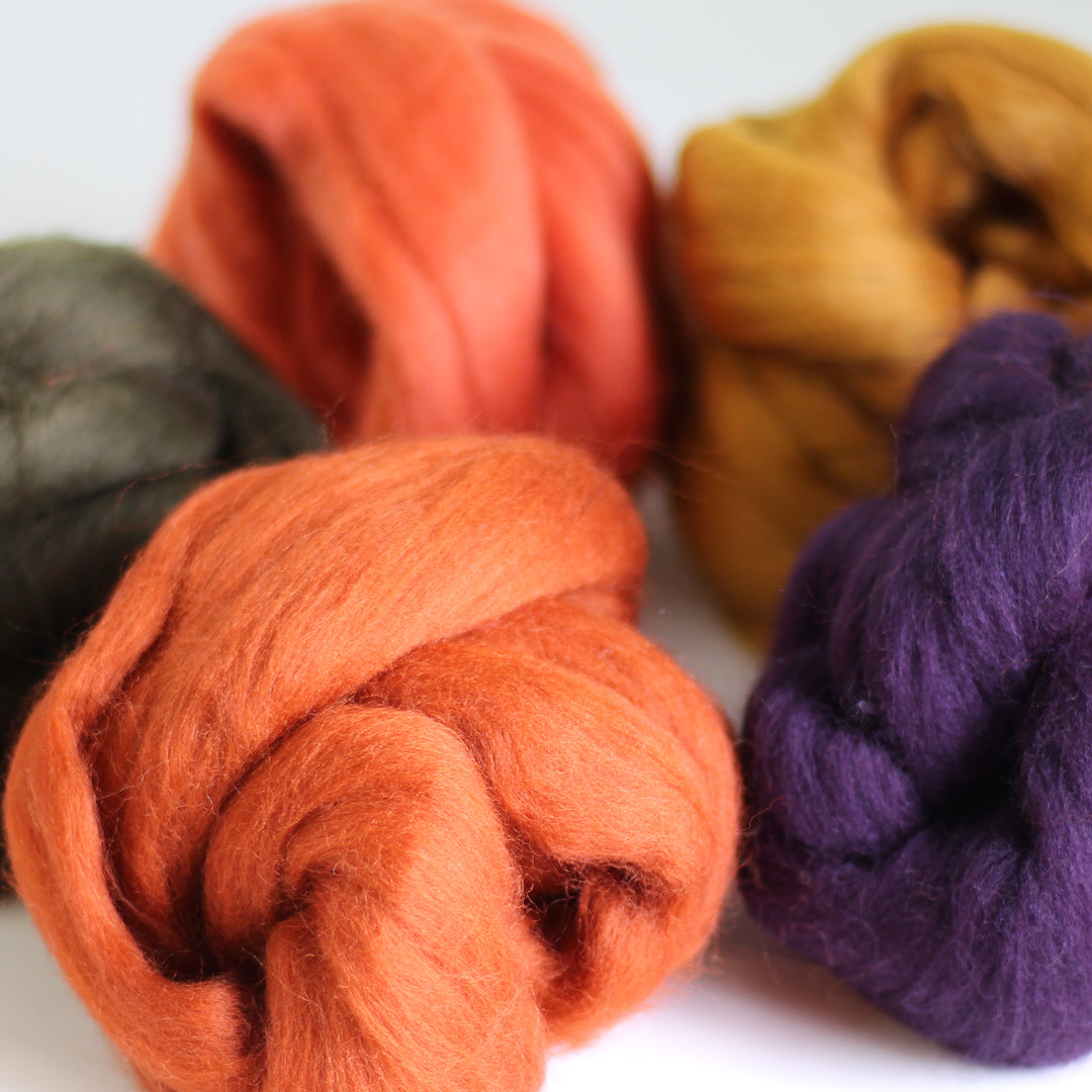 Autumn Bundle Wool Roving