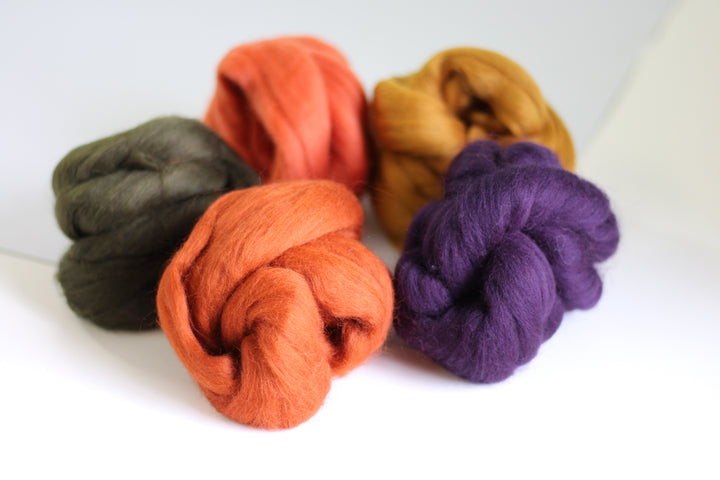 Autumn Bundle Wool Roving