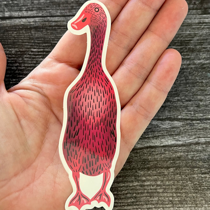 Indian Runner Ducks Stickers