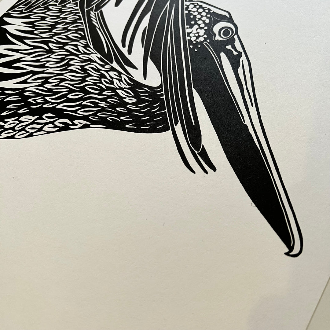 Pelican Lino Print