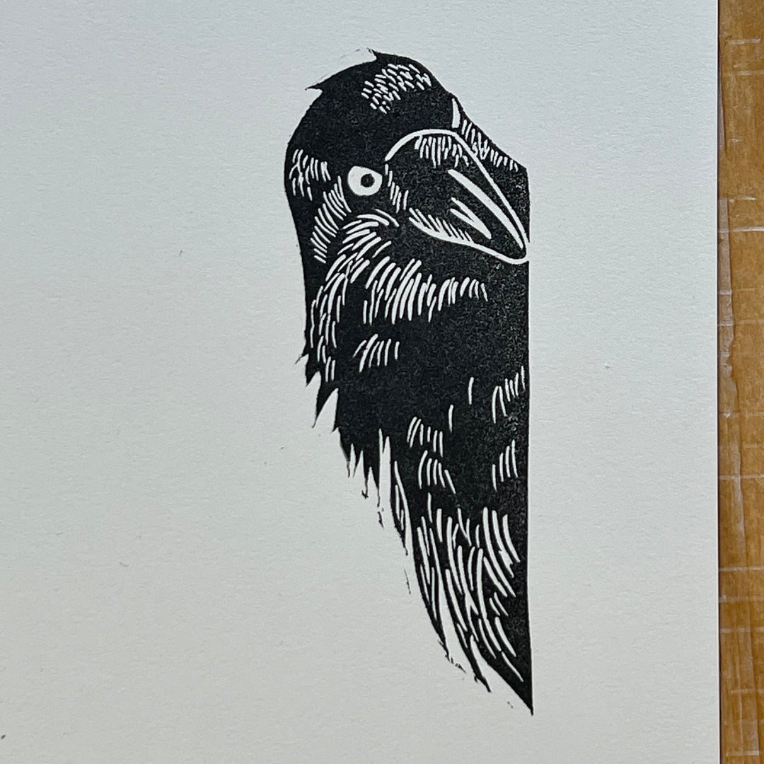 Nosy Lino Print