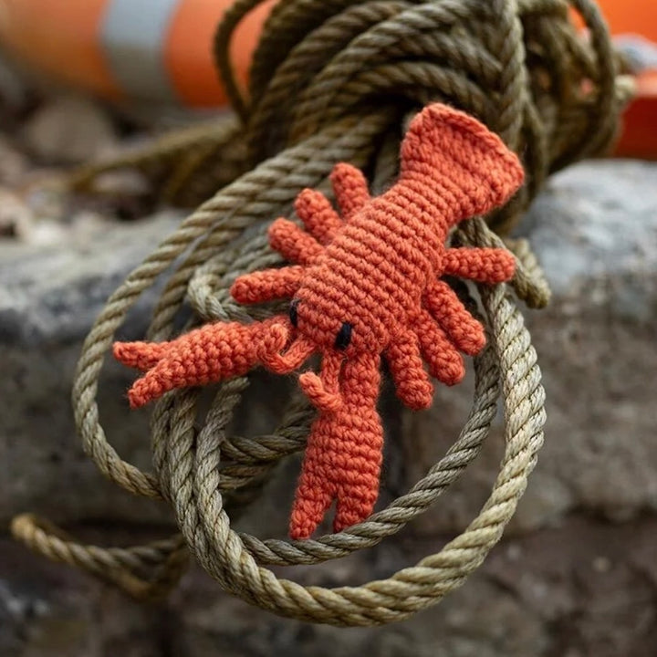 Mini Jordan the Lobster Crochet Kit